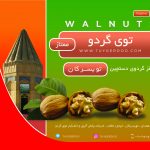 مغز گردو ممتاز تویسرکان ـ یک کیلوگرم